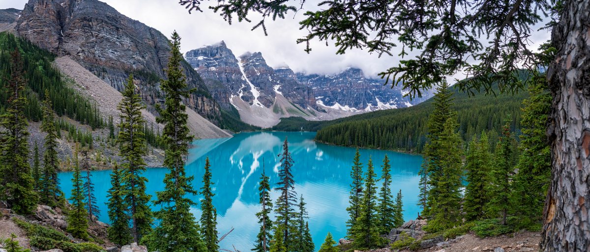 A panoramic view of a bright turquoise lake surrounded by dense evergreen forests and rugged, snow-dusted mountains under a cloudy sky, framed by tree branches in the foreground.