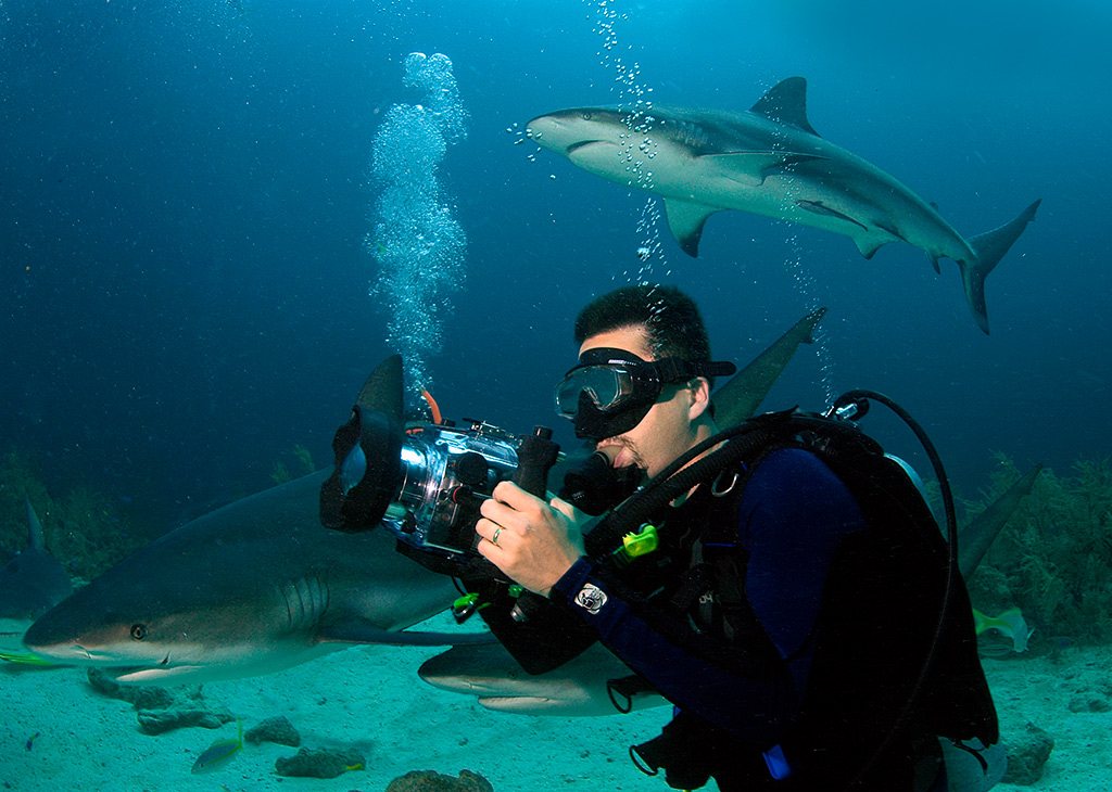 A scuba diver holds an underwater camera housing while positioned on a sandy sea floor near several sharks, with air bubbles rising toward the surface.